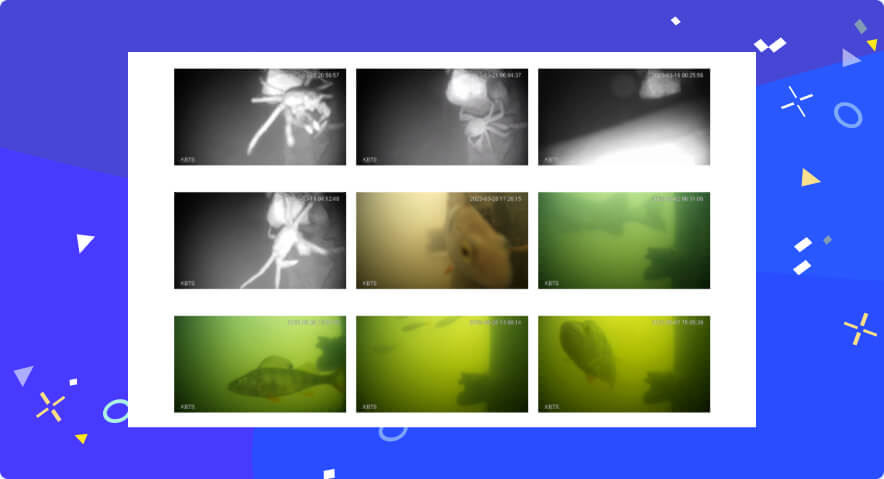 Fish Doorbell shared the photos of the fish that people let through the damn