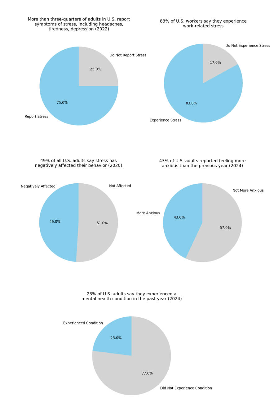 U.S. Adults Stress Factors Statistics