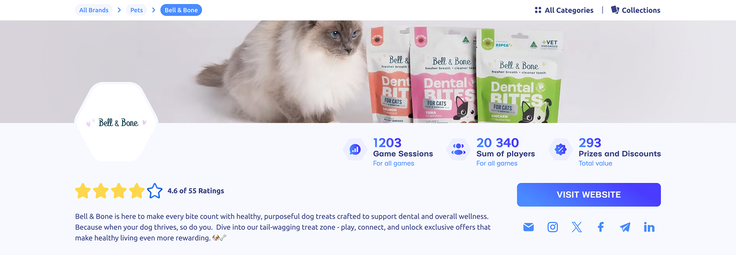 Example of Brand Page on Winday Club