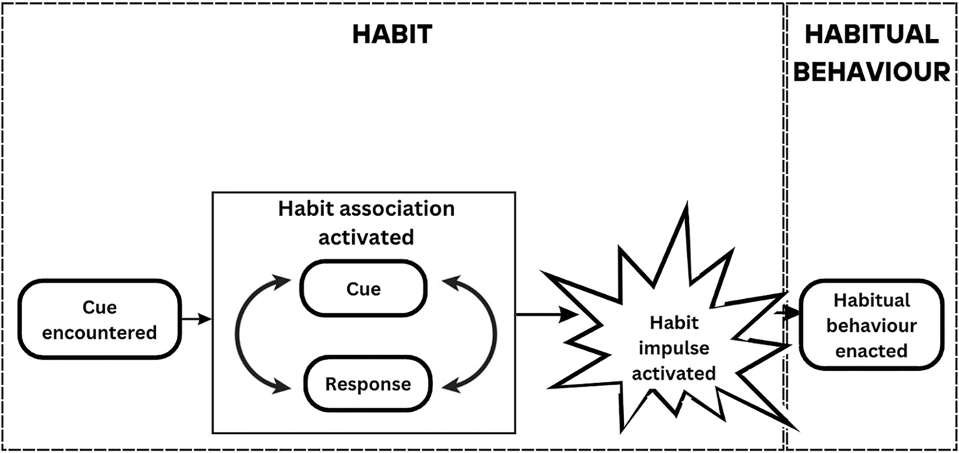 The Process of Habit Formation and Habitual Behavior
